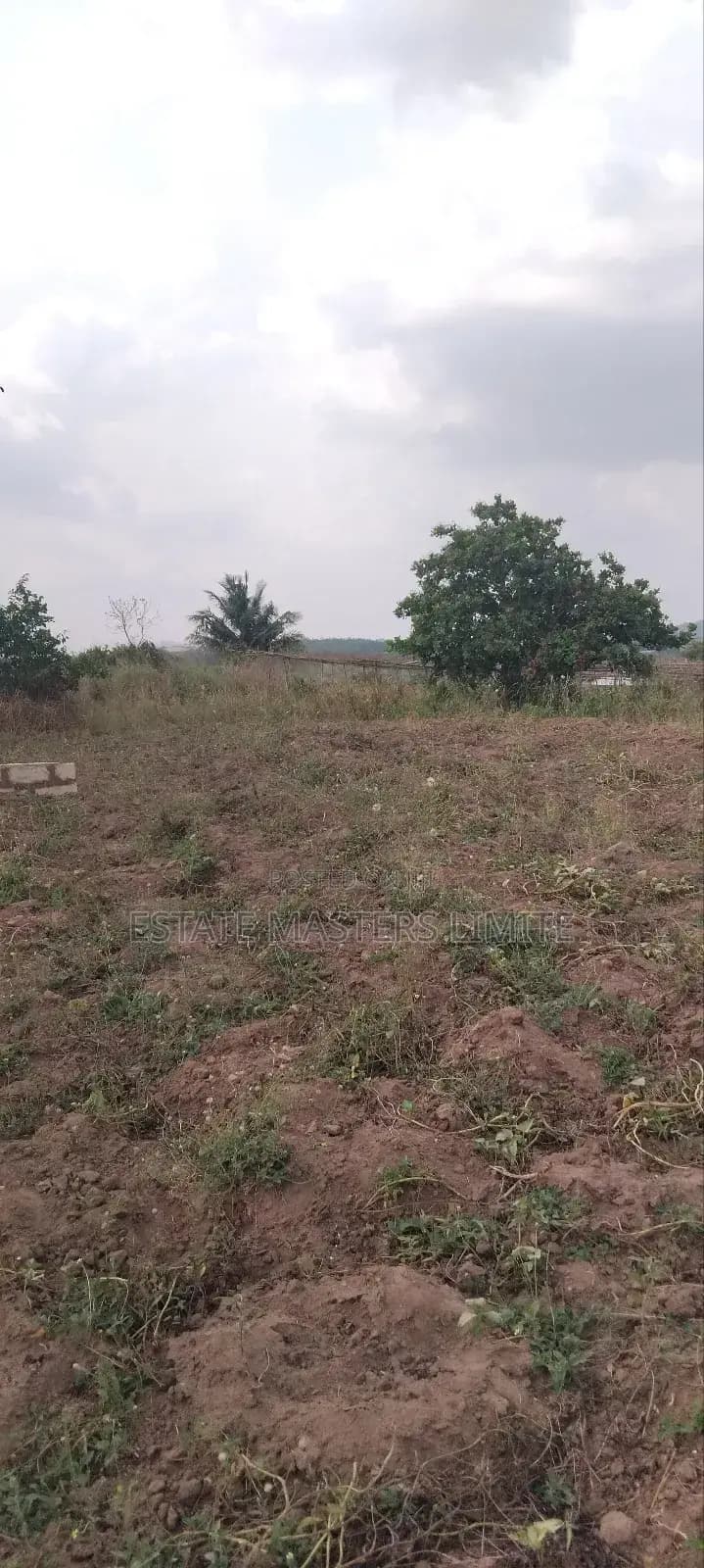 Zongo Lans for Sale - Land in Central Region, Gomoa East - Sale