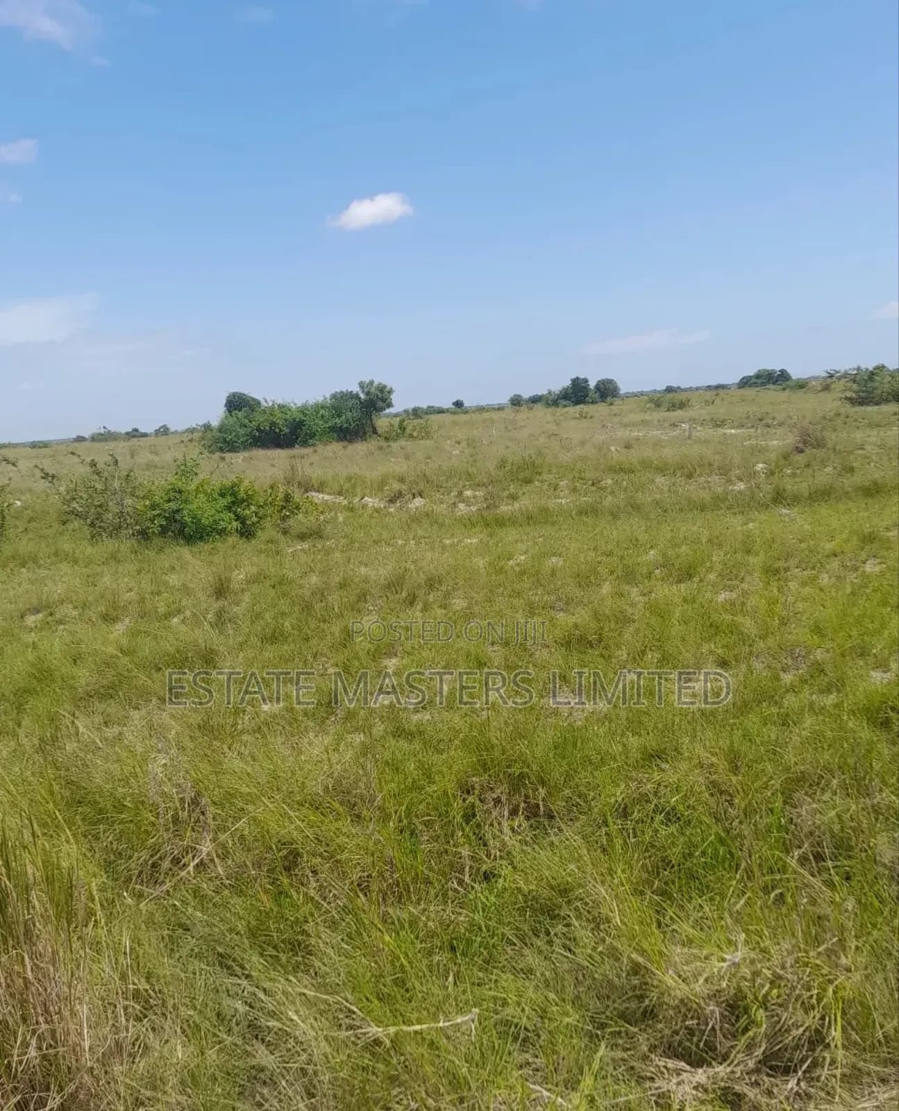Where Luxury Meets Land for Sale, Secure Your Spot Now - Land in Greater Accra, Tema Metropolitan - Sale