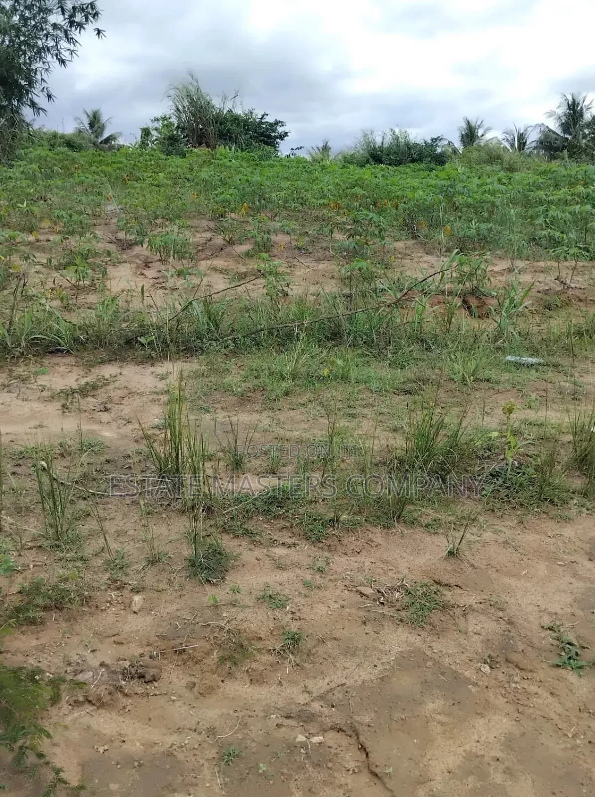 Get Land in a Welcoming and Gated Community for Your Project - Land in Central Region, Awutu Senya East Municipal - Sale