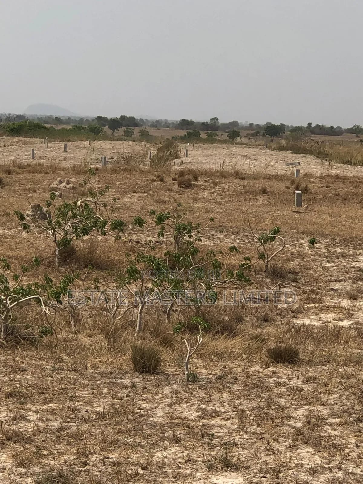 No Stress! No Wahala! Your Plot Awaits! - Land in Greater Accra, Tema Metropolitan - Sale