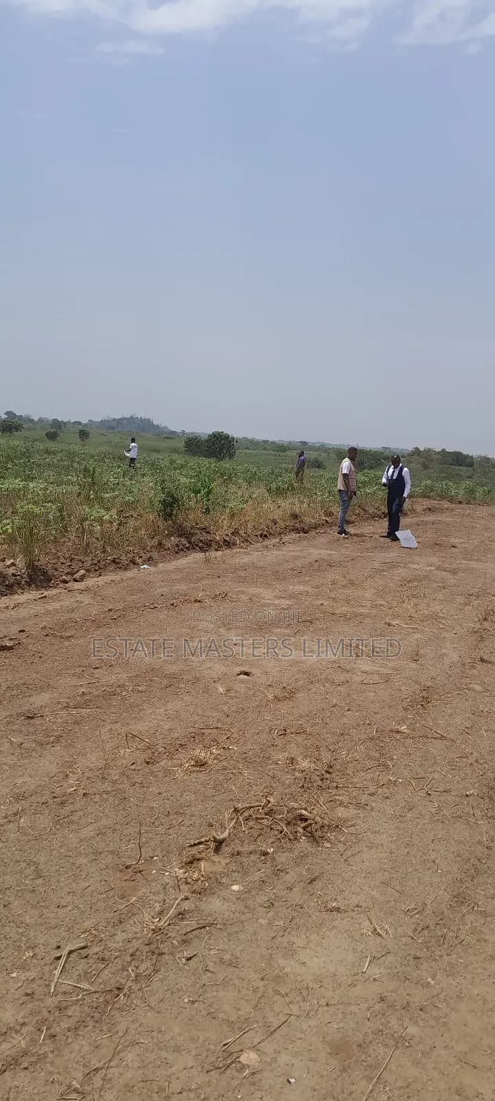 Be a Landlord at Palm Hills Today! Experience Green Living! - Land in Central Region, Gomoa East - Sale