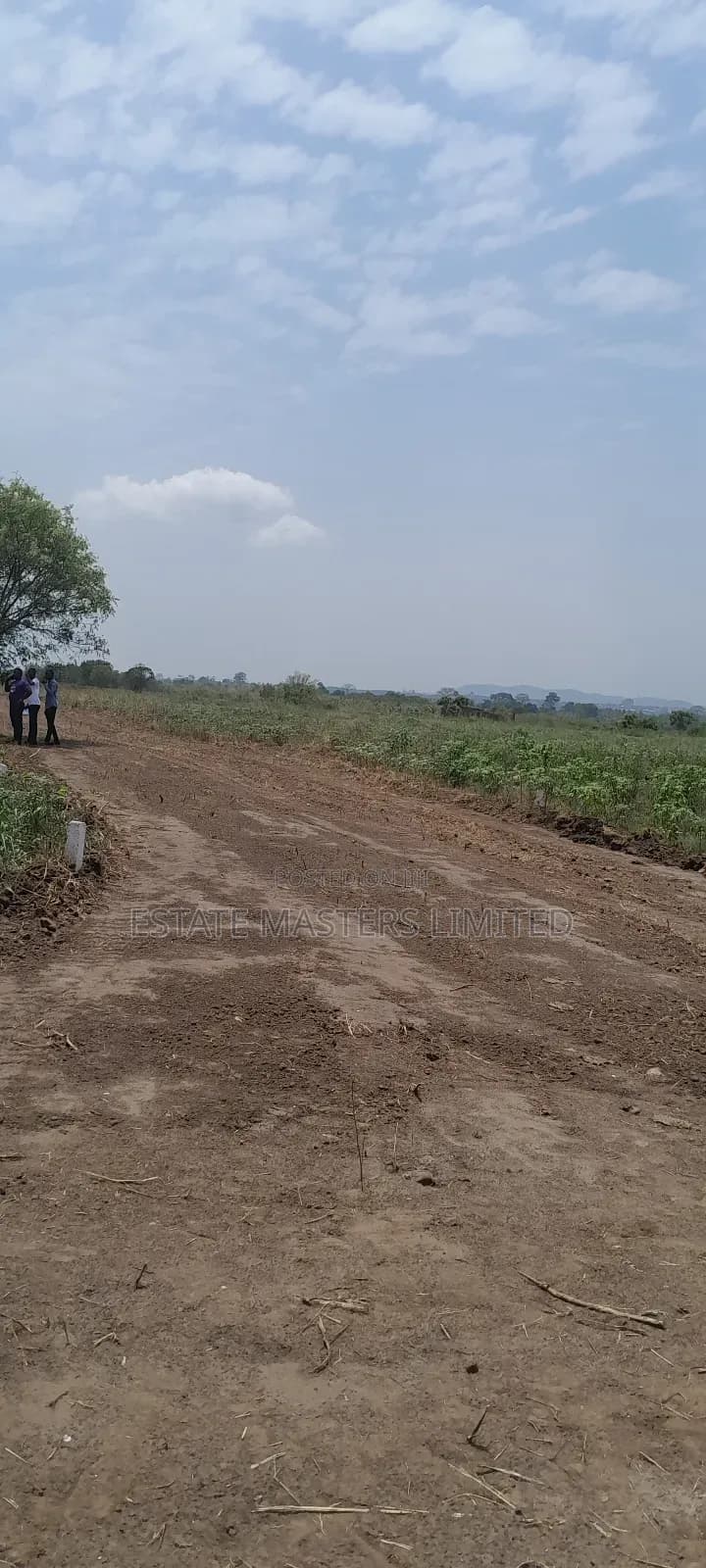 Own a Plot at Palm Hills- 15 Minutes Off Accra-Winneba Road - Land in Central Region, Gomoa East - Sale