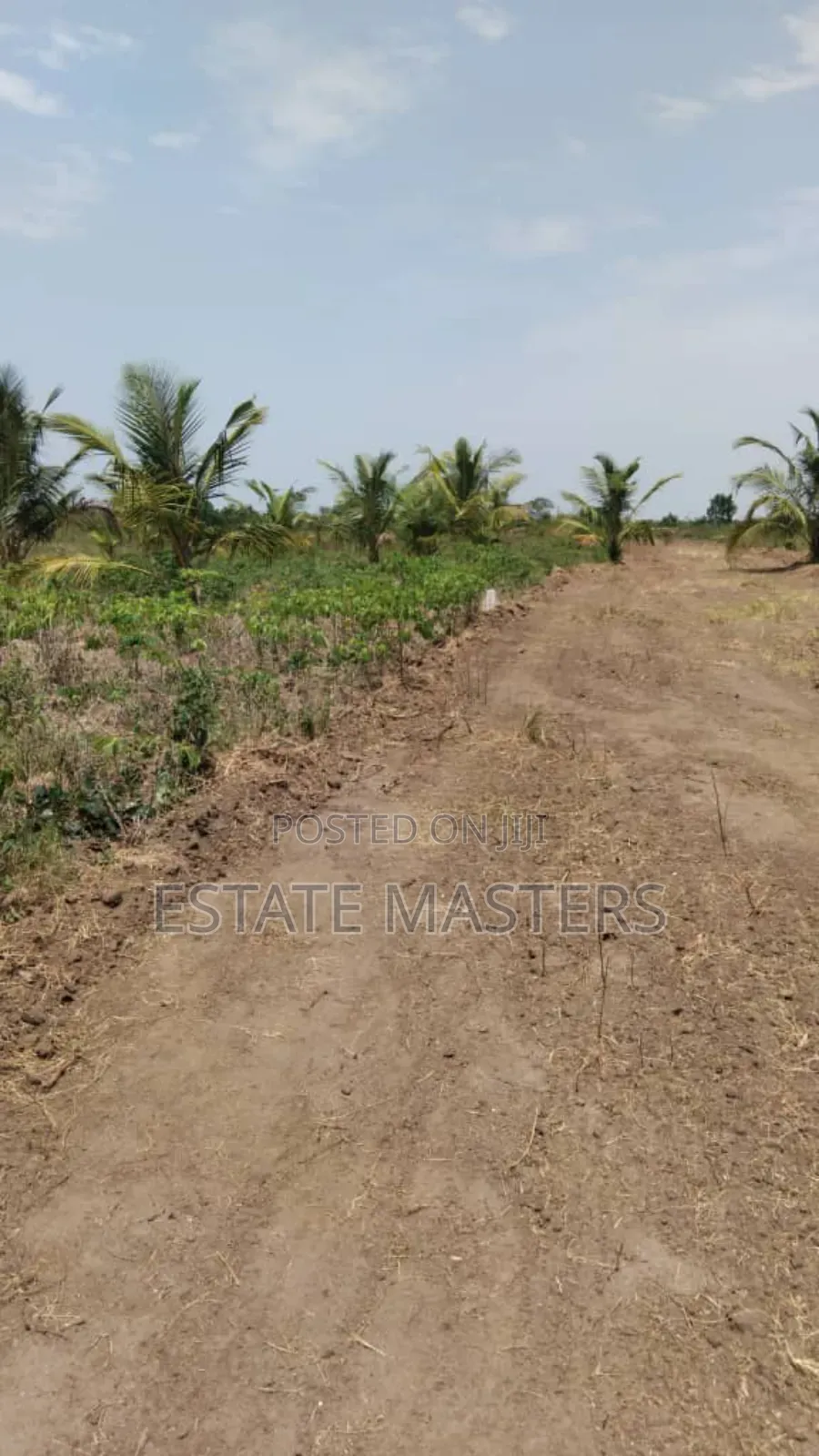 Own a Land Today at Panfrokrom - Land in Greater Accra, Tema Metropolitan - Sale