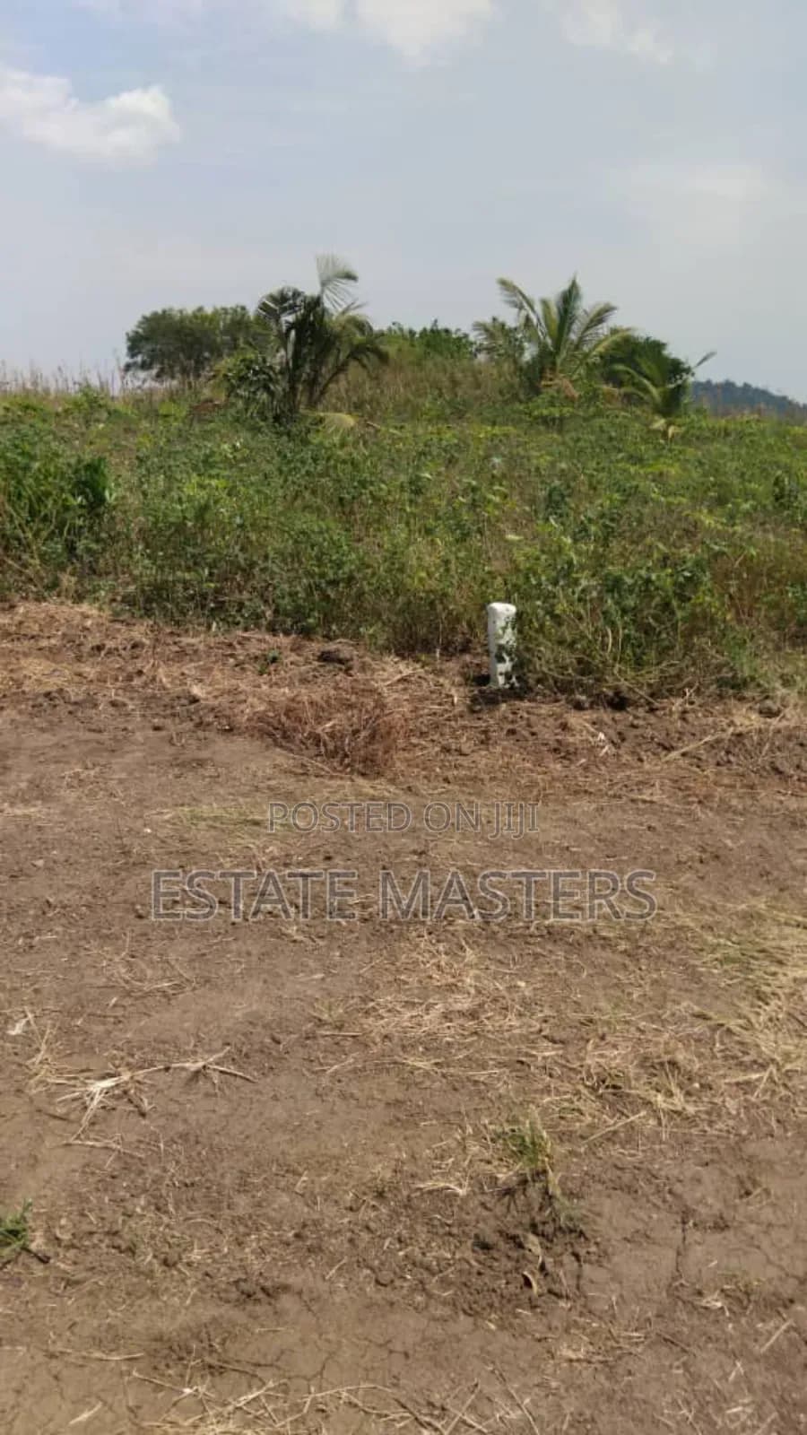 Very Affordable Lands Available for Sale - Land in Greater Accra, Tema Metropolitan - Sale