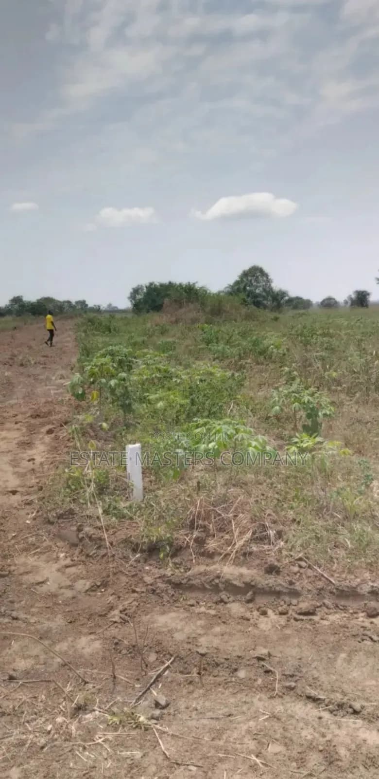 Good Location Land With Free Documentation - Land in Greater Accra, Kasoa - Sale