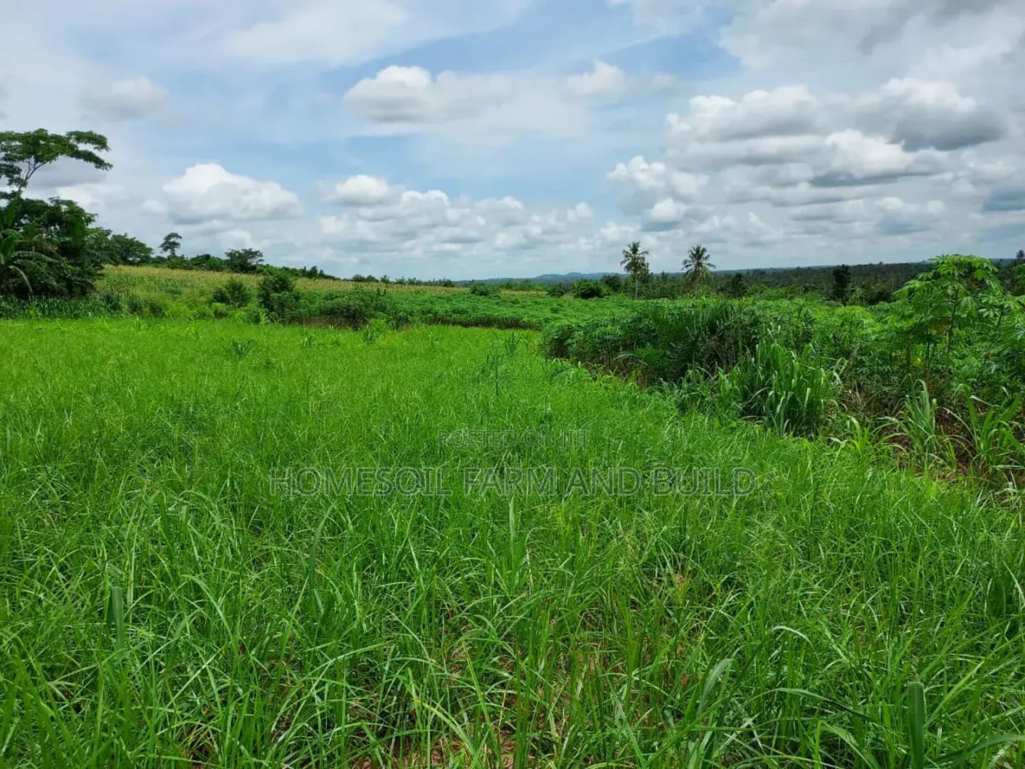 2 Plots of Litigation-Free, Strategically Located Land - Land in Central Region, Awutu Senya West - Sale