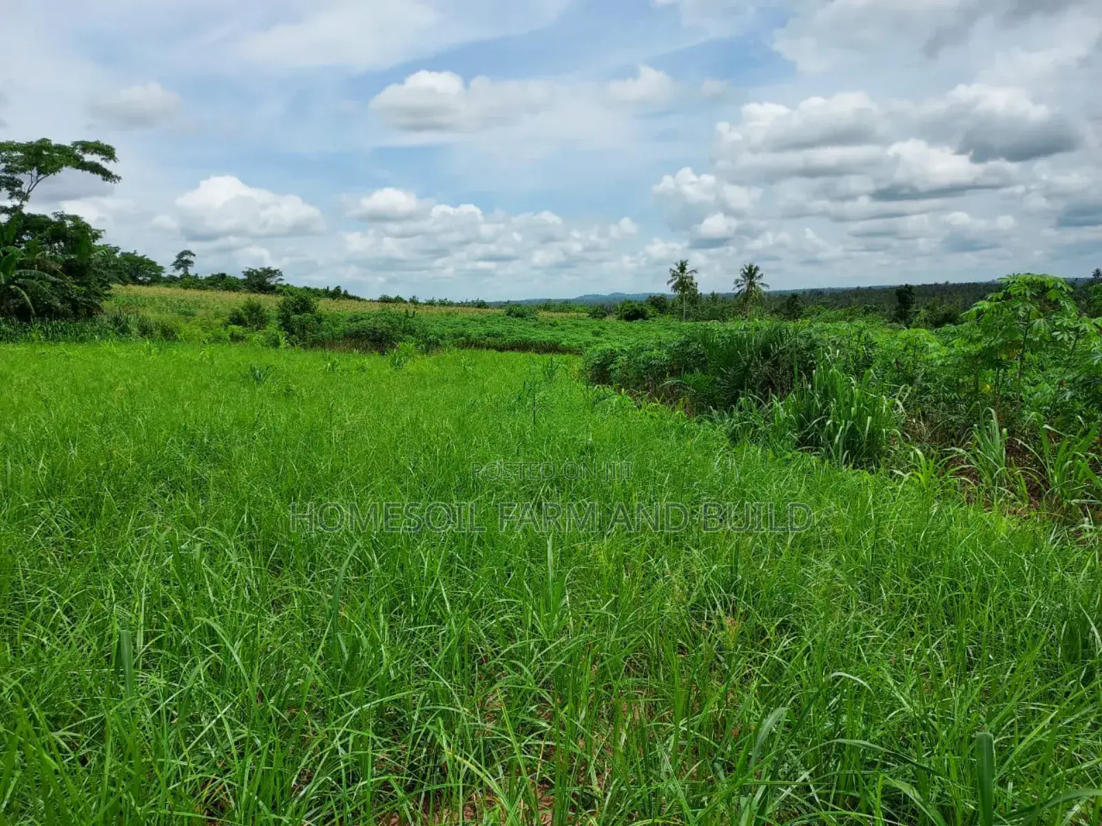 2 Plots of Litigation-Free, Strategically Located Land - Land in Central Region, Awutu Senya West - Sale