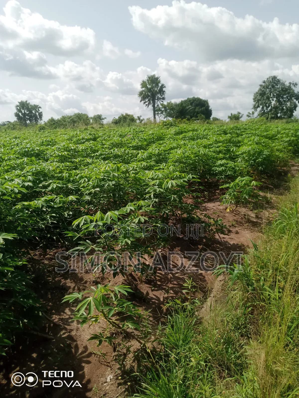 3000 Acres of Farm Land for Sale - Land in Volta Region, Ho Municipal - Sale