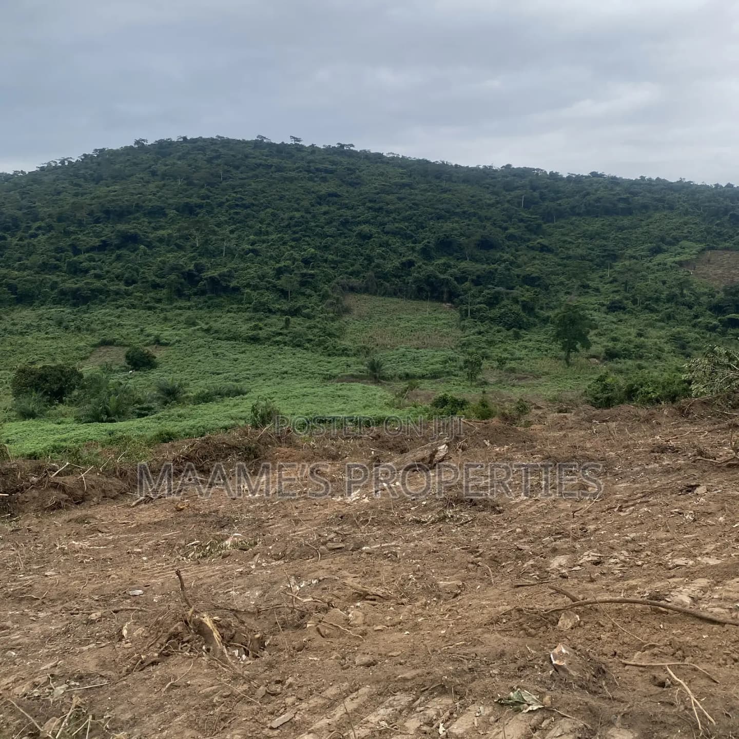 Acres of Land in Aburi, Per Plot Is 60,000 GHS - Land in Eastern Region, Akuapim South, Aburi - Sale