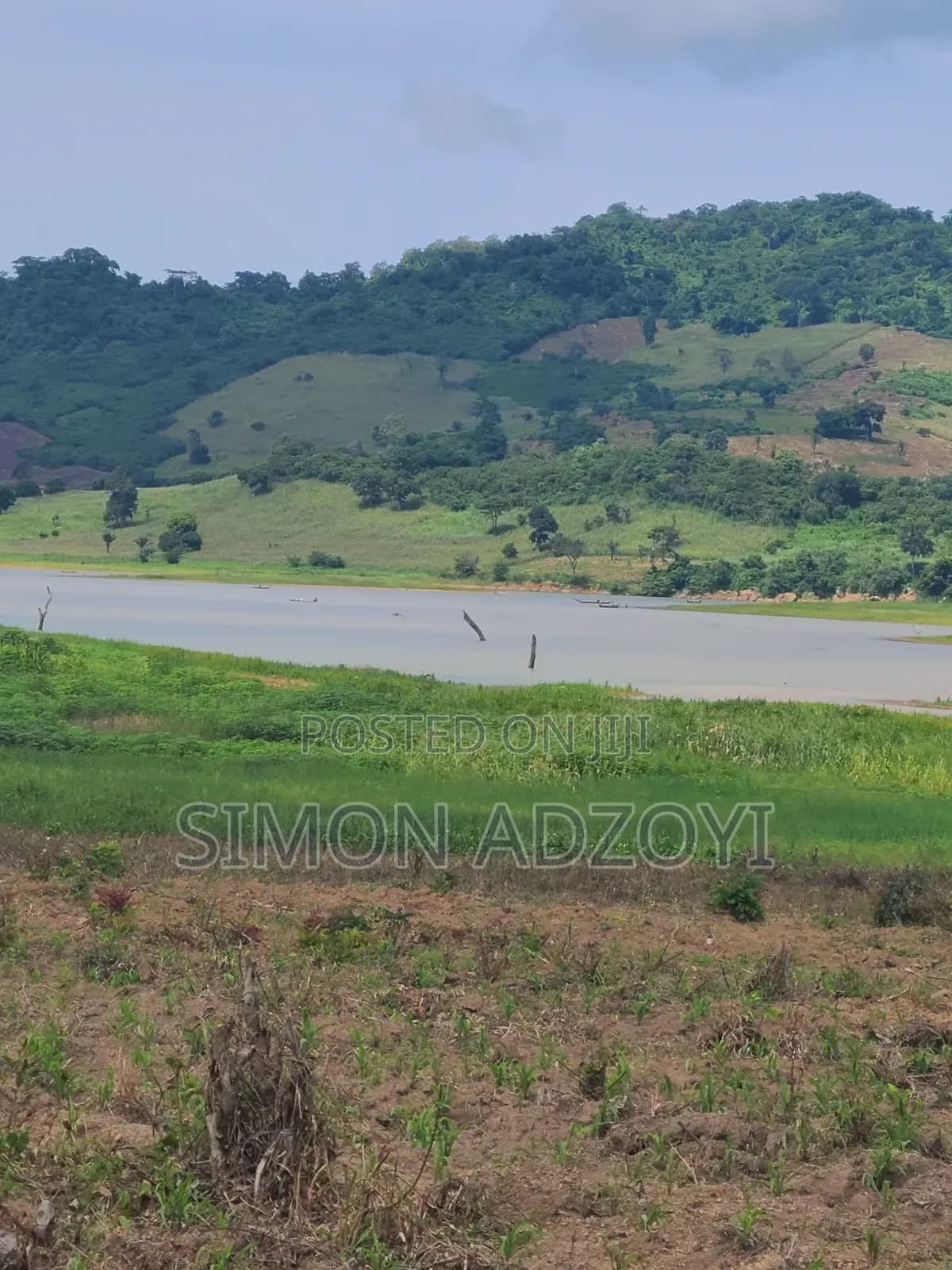 1000 Acres Available for Sale or Lease - Land in Volta Region, Nkwanta South - Sale