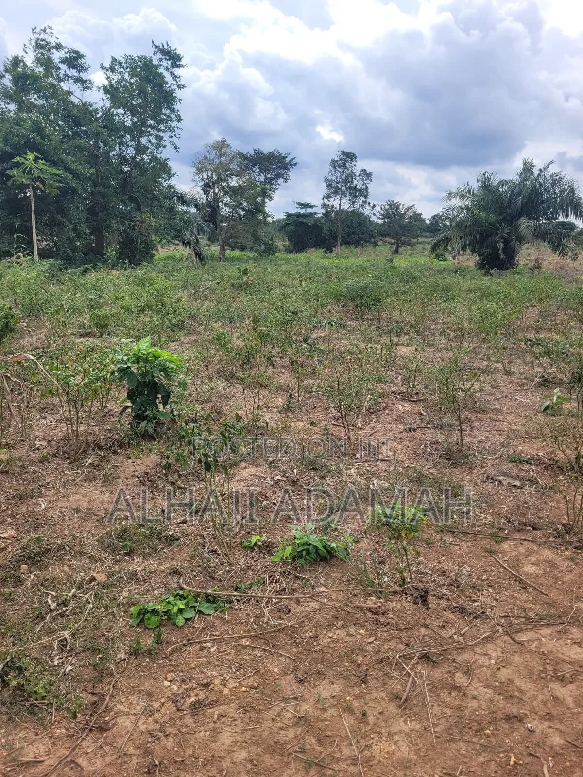 Lands for Sale at Trede Sepeasae New Site - Land in Ashanti, Atwima Kwanwoma - Sale