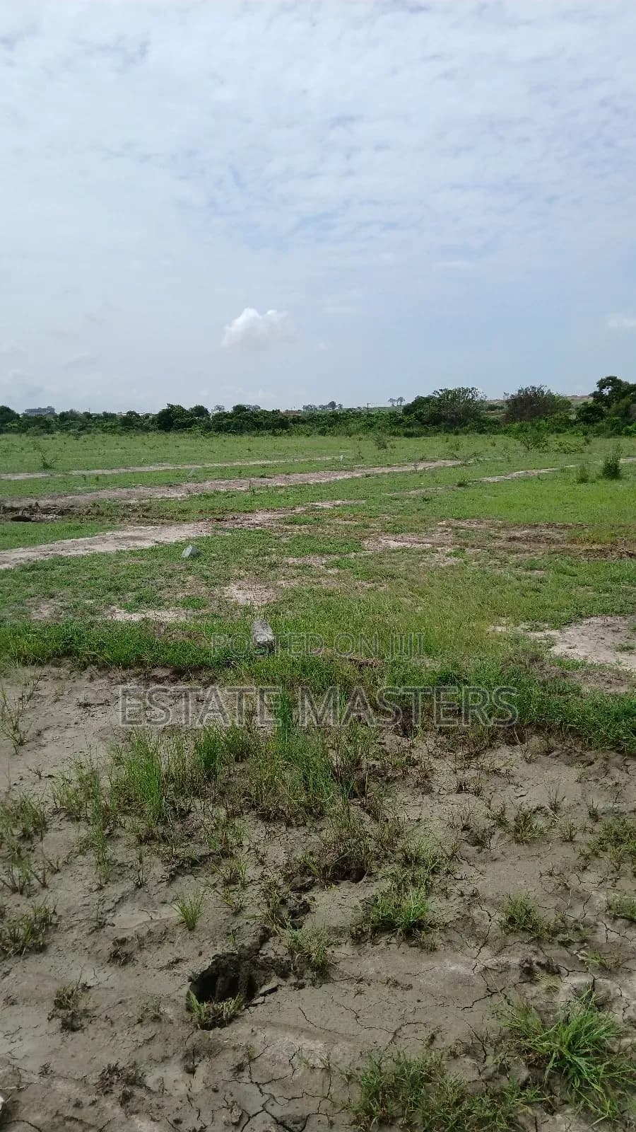 A Well Demarcated Land for Sale - Land in Greater Accra, Tema Metropolitan - Sale