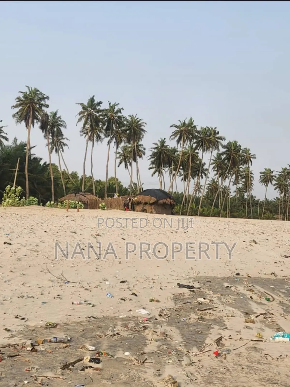 Beach Land for Sale Located at Ada Foah - Land in Greater Accra, Accra Metropolitan - Sale