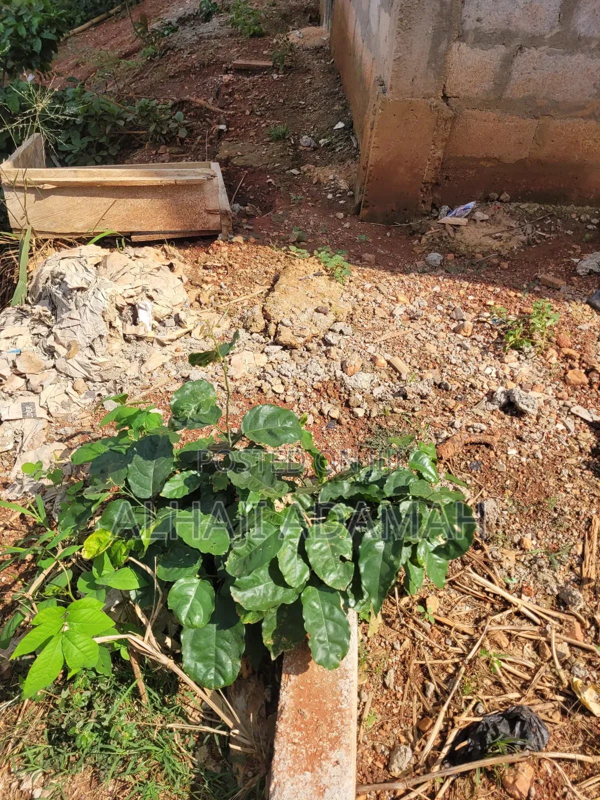 Land for Sale at Santa'si Darko Near Main Road - Land in Ashanti, Atwima Kwanwoma - Sale