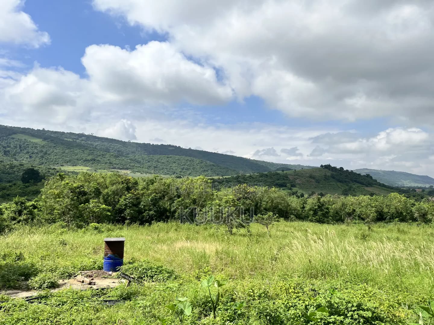 Main Road Land Aburi-Pokrom - Land in Eastern Region, Akuapim South, Aburi - Sale