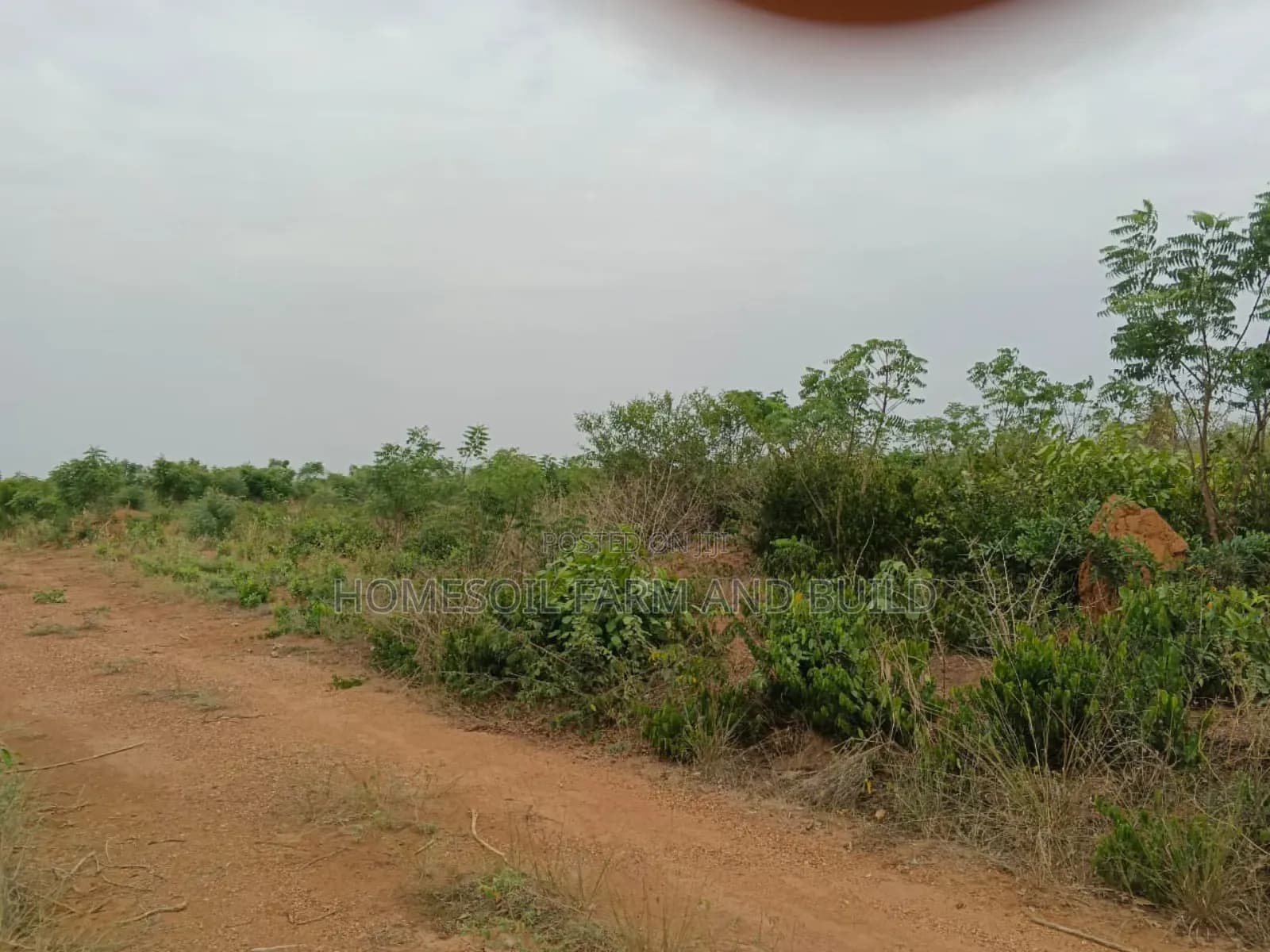 4 Acres of Litigation Free Residential Land, at Senya for Sale - Land in Central Region, Awutu Senya East Municipal - Sale