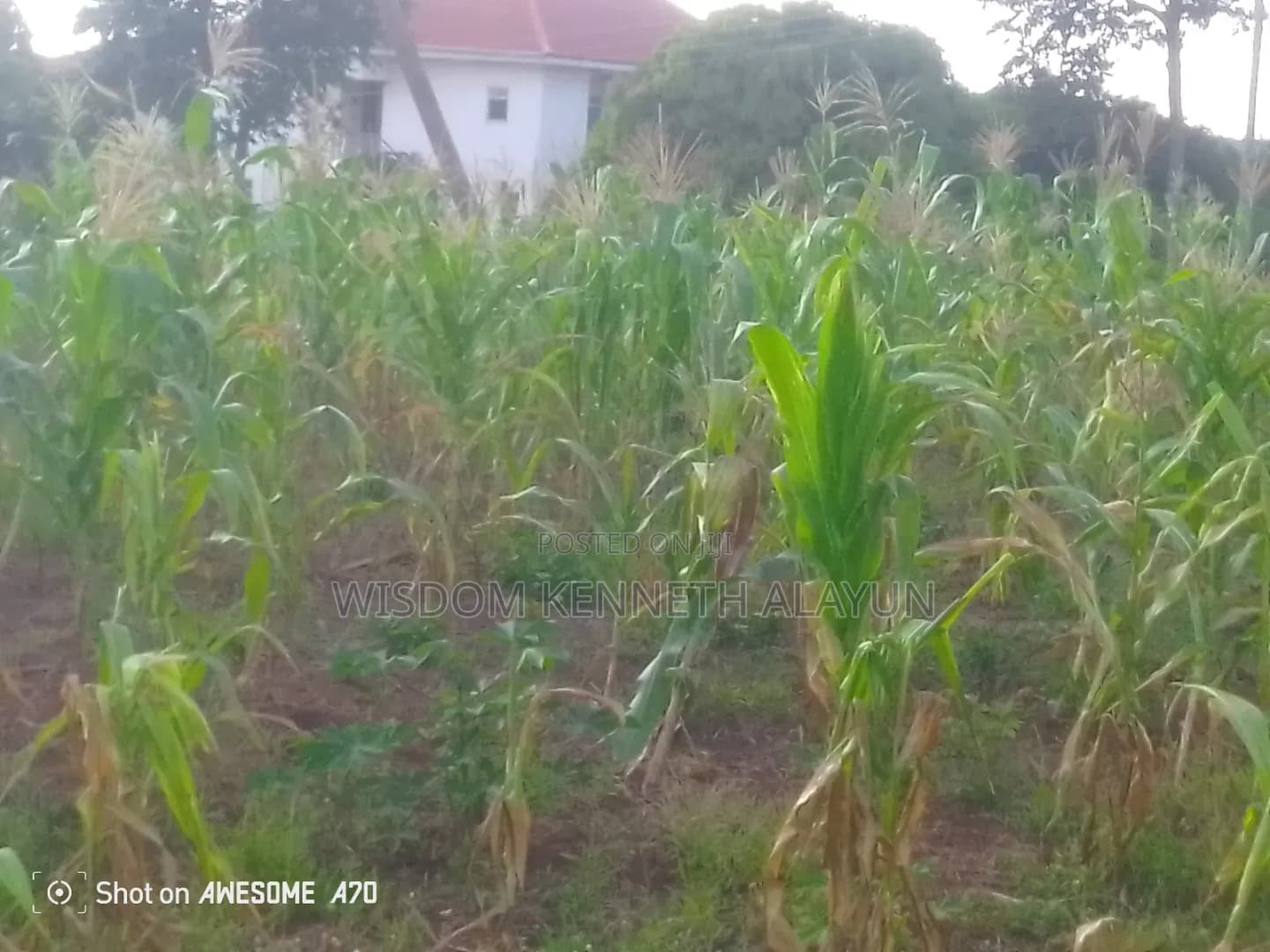 1 Plot of Land for Sale at Pakyi, Abom - Land in Ashanti, Kumasi Metropolitan - Sale