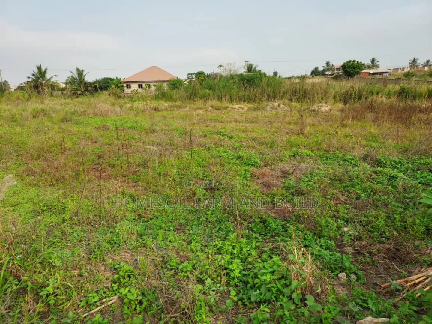 A Plot of Litigation Free Residential Land for Sale at Papaase - Land in Central Region, Awutu Senya East Municipal - Sale