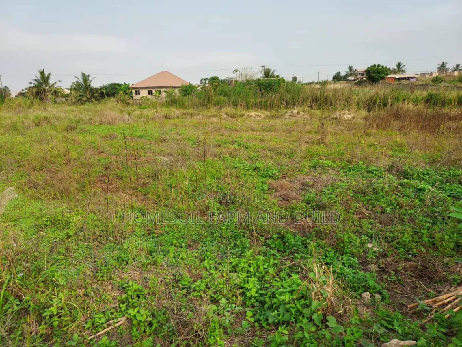 A Plot of Litigation Free Residential Land for Sale at Papaase - Land in Central Region, Awutu Senya East Municipal - Sale