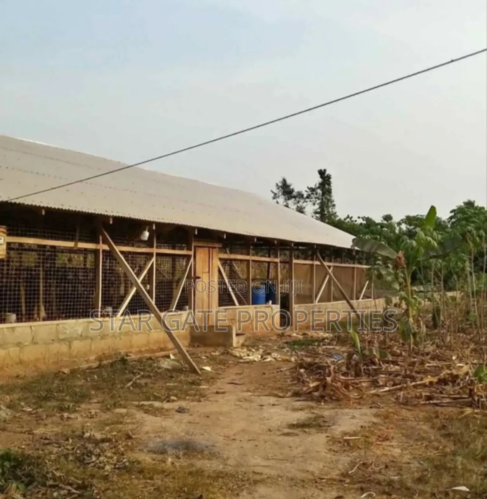 Poultry Farm for Sale at Nfensi ( Kumasi Mankraso Road) - Commercial in Ashanti, Kumasi Metropolitan - Sale