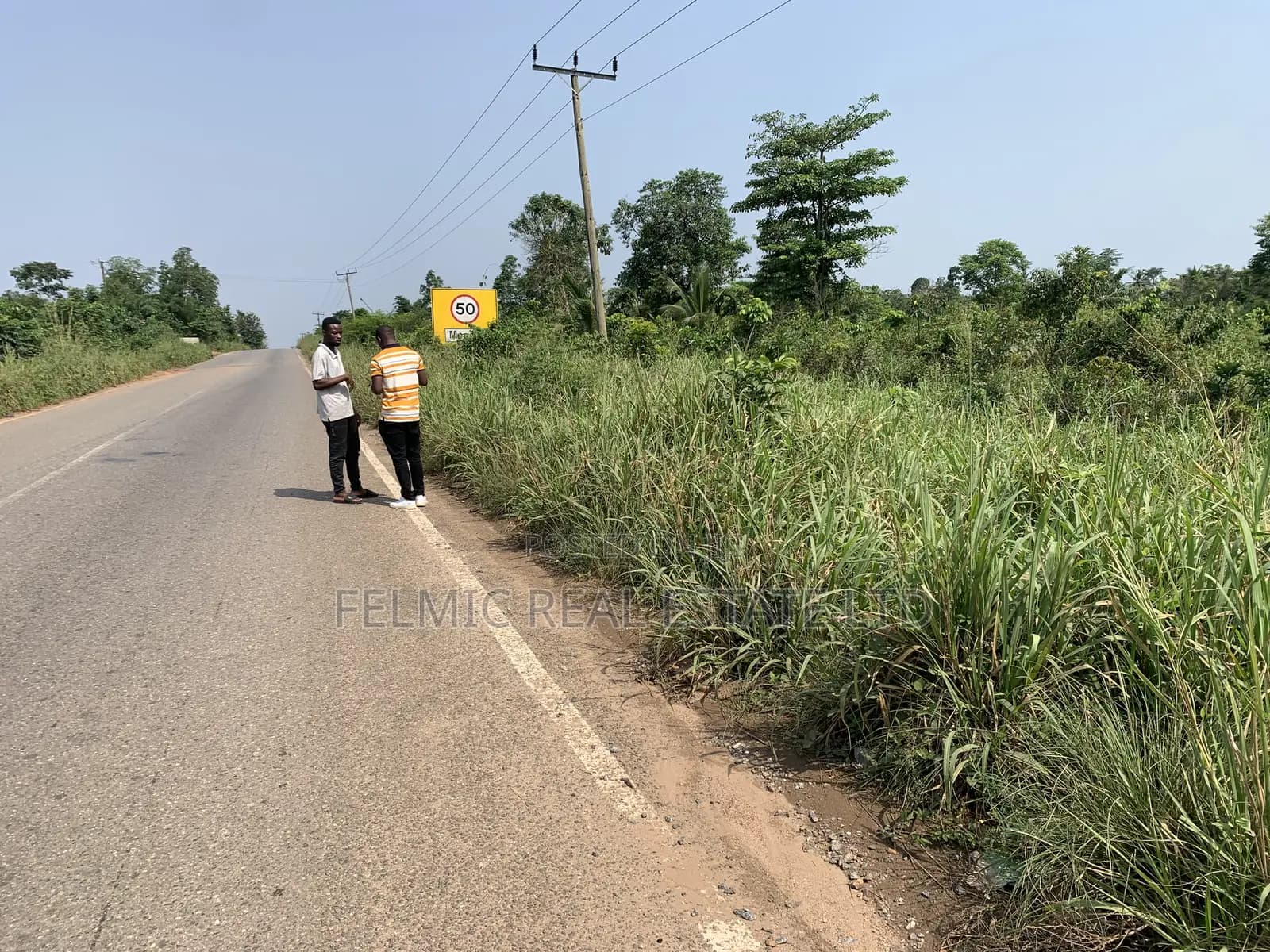 50 Acres at Adeiso for Sale - Land in Eastern Region, East Akim Municipal - Sale