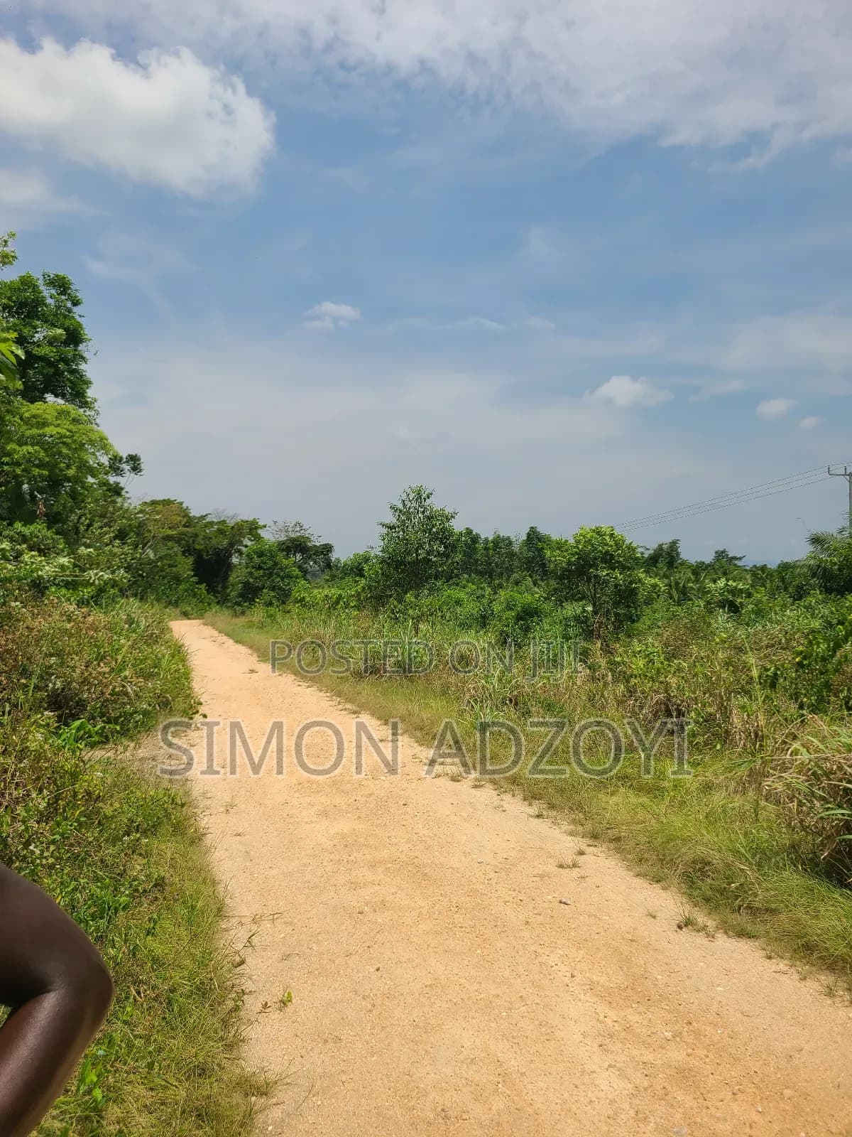 20,000 Acres of Cocoa Farme Land - Land in Eastern Region, West Akim Municipal - Sale