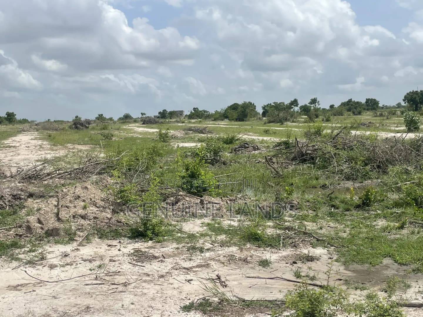 Land Near the New Airport – Tsopoli! Invest in the Future - Land in Greater Accra, Accra Metropolitan - Sale