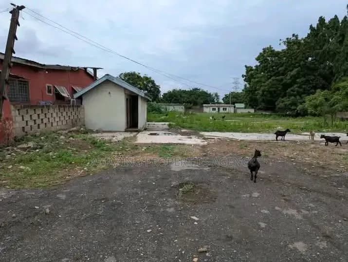 For Sale 100/80 Plot of Land at East Legon - Land in Greater Accra, East Legon, A&C Mall Area - Sale