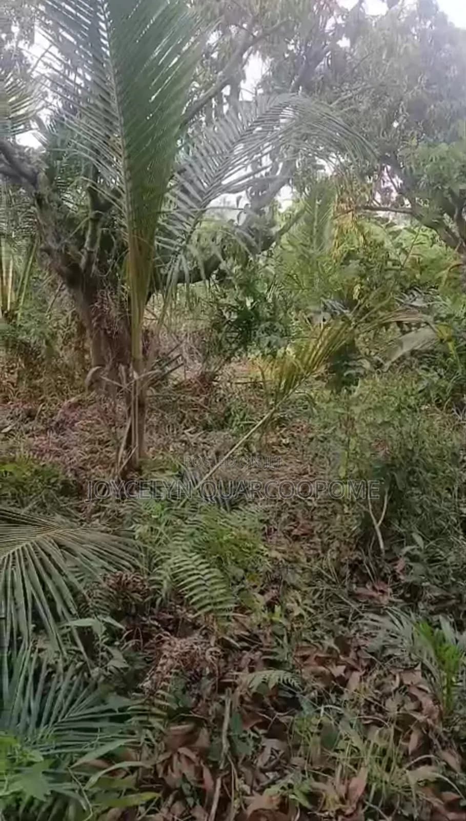 Dodowa Odumasi in the Shai Osudoku District Greater Accra - Land in Greater Accra, Dodowa, Dodowa Main Station - Sale