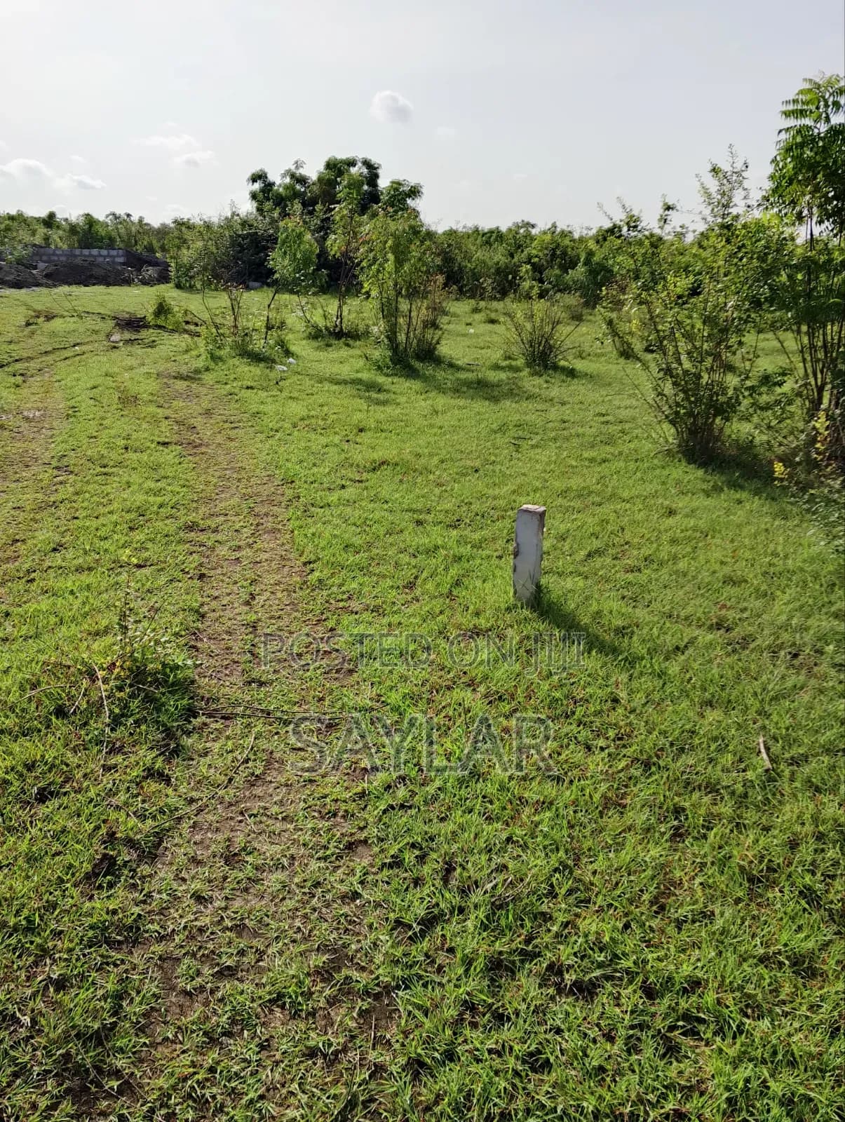 Over 400 Acres of Demarcated Lands Afienya Main Road Side for Sale - Land in Greater Accra, Tema Metropolitan - Sale