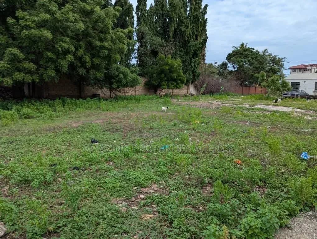 Half an Acre Land Available for Sale at Cantonment - Land in Greater Accra, Cantonments, US Embassy Area - Sale