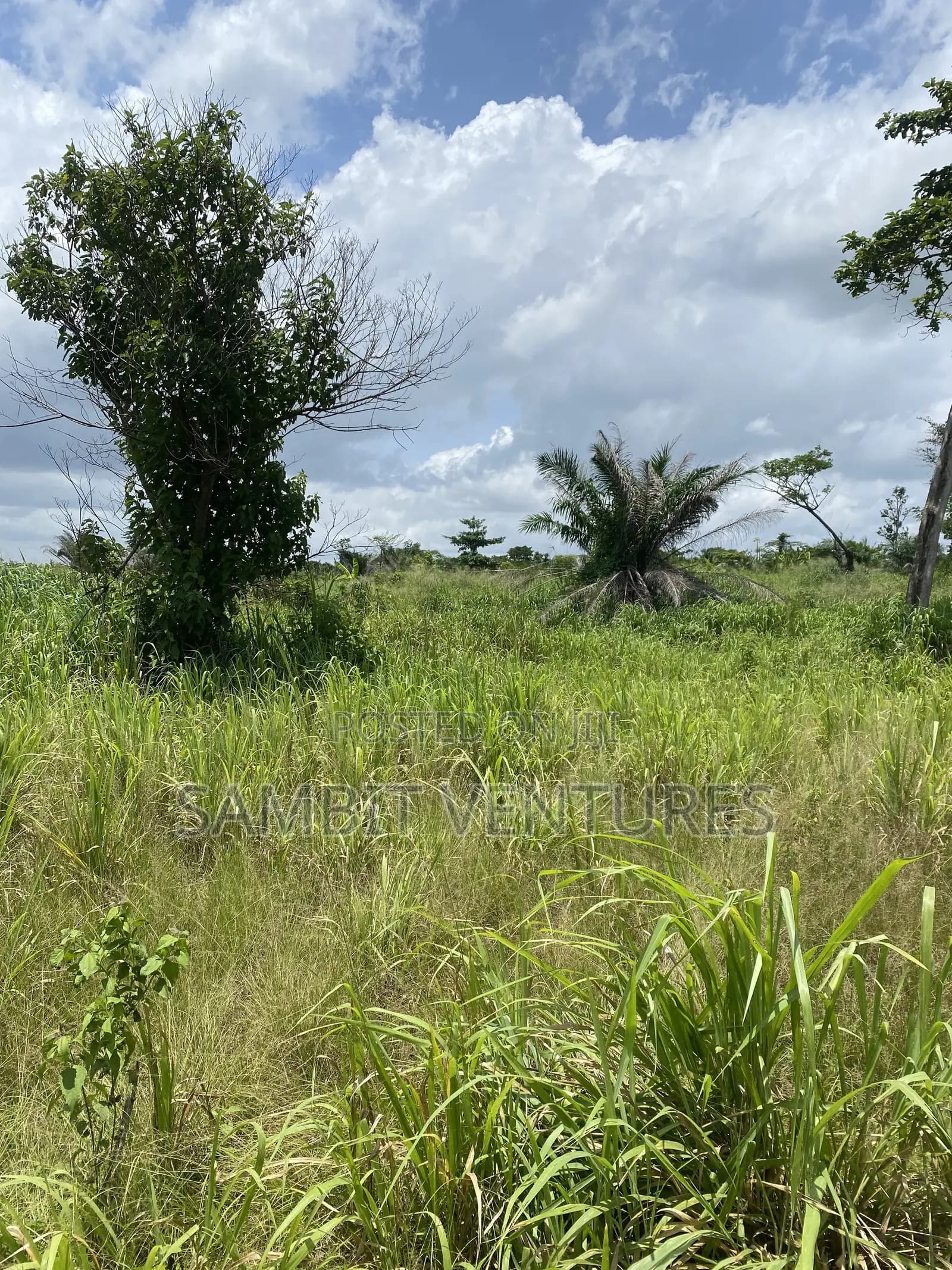 Farm Land at Krabo Kotaa 15 Minutes Drive From Adeso Junction - Land in Eastern Region, Ayensuano - Sale