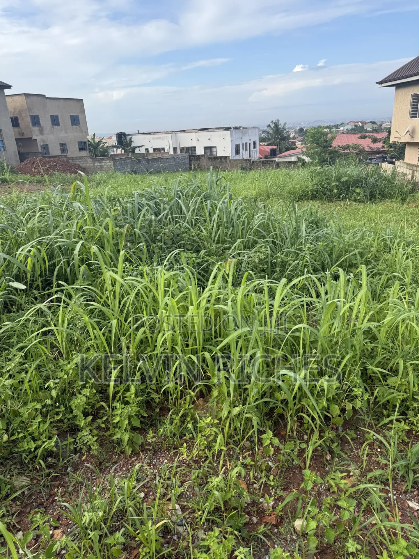 Registered Plots of Land at Amassman Medie for Sale - Land in Greater Accra, Pokuase - Sale