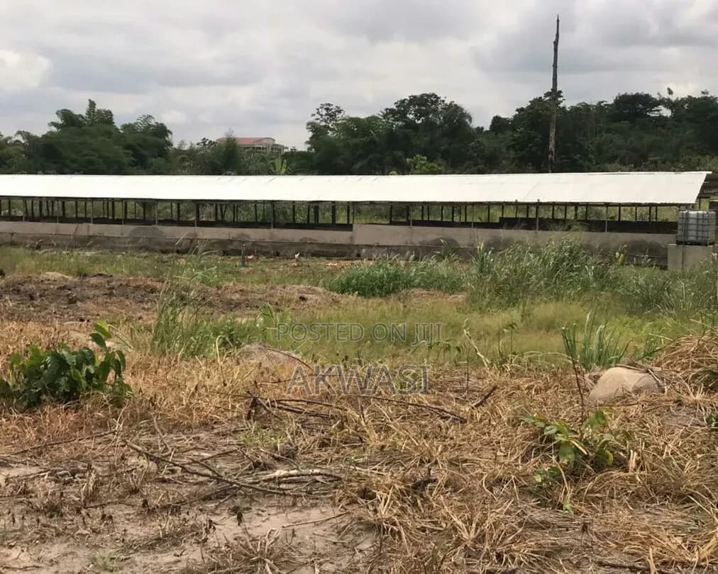 6 Acre Farm for Sale/Lease – Cctv, Auto Drinkers - Commercial in Ashanti, Ejisu-Juaben Municipal - Sale