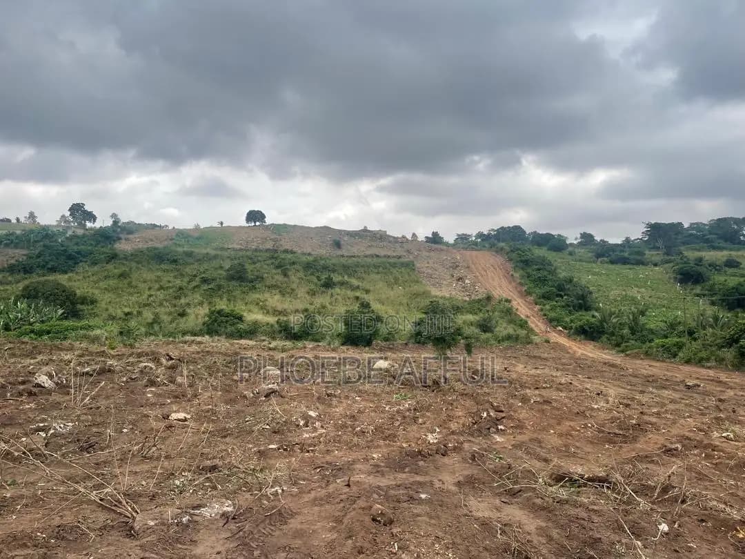 Lands for Sale - Land in Eastern Region, Akuapim South, Aburi - Sale
