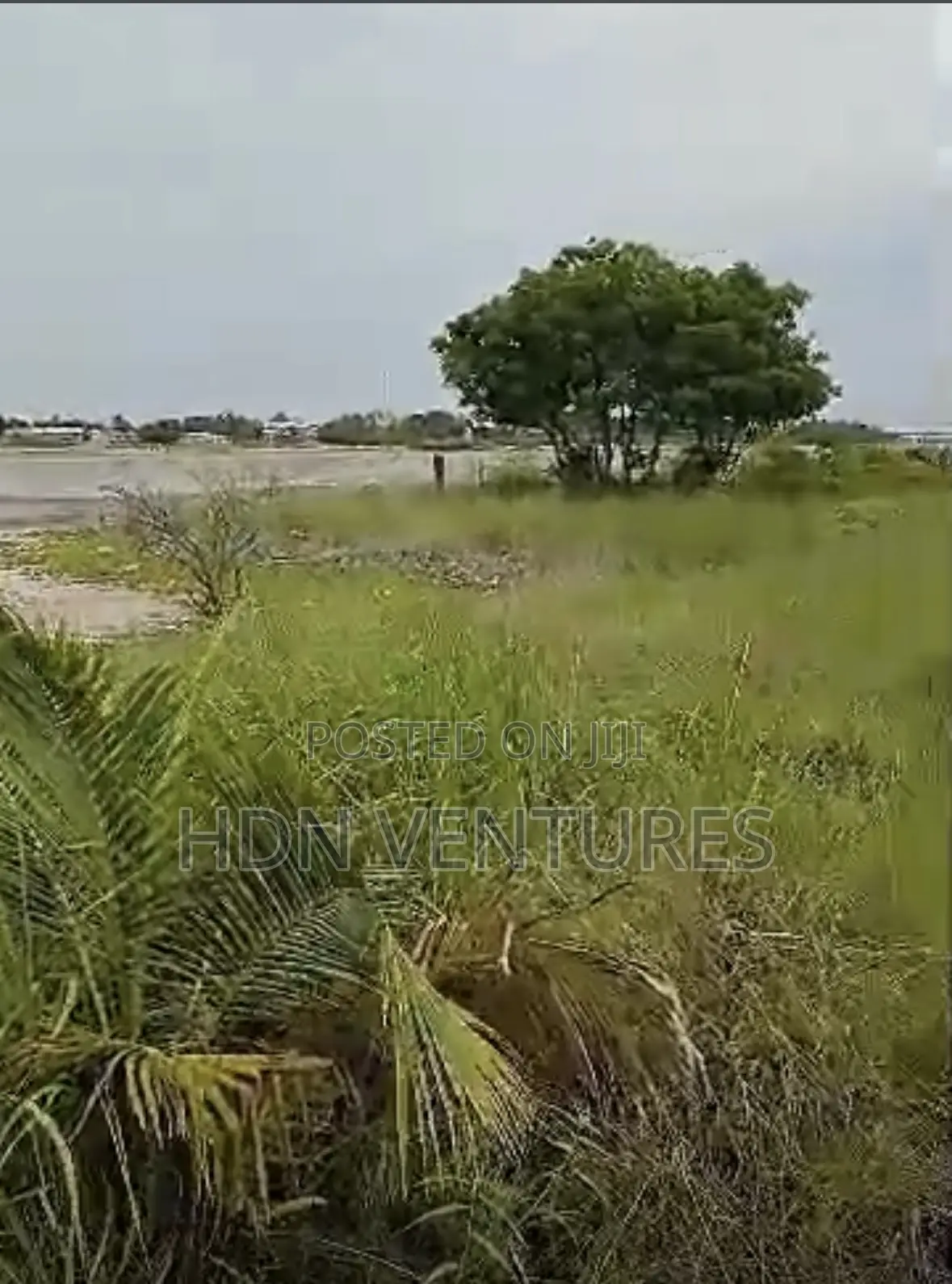 Beach Land and Island at Prampram Perfect for Beach House - Land in Greater Accra, Ningo-Prampram, New Ningo - Sale