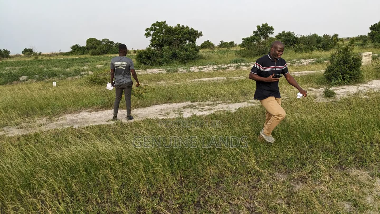Genuine Land Free From Water Logged for Sale - Land in Greater Accra, Accra Metropolitan - Sale