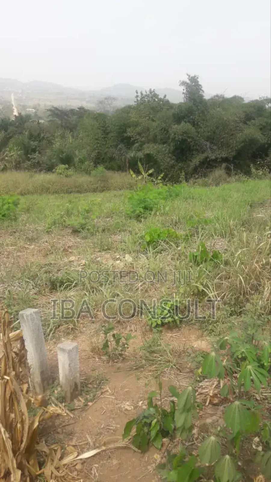 Registered 2 Acres of Residential Land at Nsawam Odeikrom for Sale - Land in Greater Accra, Accra Metropolitan - Sale