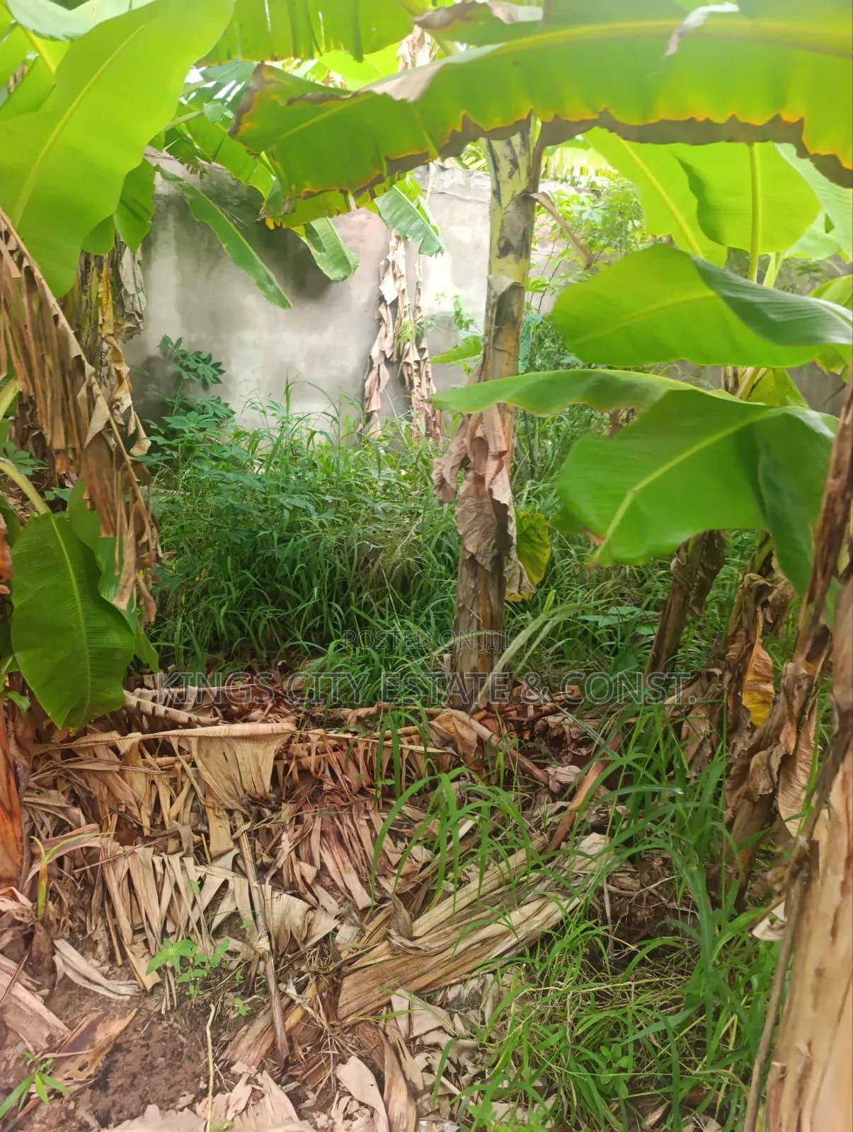 Half Plot for Sale at Pokuase Rocky Down - Land in Greater Accra, Pokuase - Sale