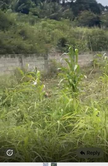 serviced land for sale at 2 plots-Takoradi BEACH ROAD - 1 min from Palms by Eagles - Land in 2 plots-Takoradi BEACH ROAD - 1 min from Palms by Eagles - Sale