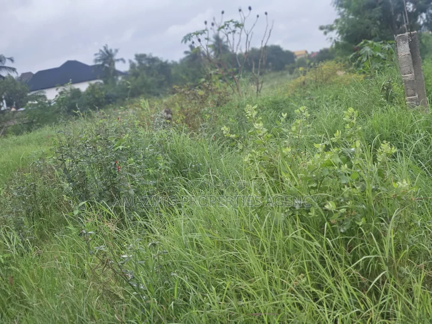 21 Acres Located at Dahwenya Close to B5 - Land in Greater Accra, Tema Metropolitan - Sale