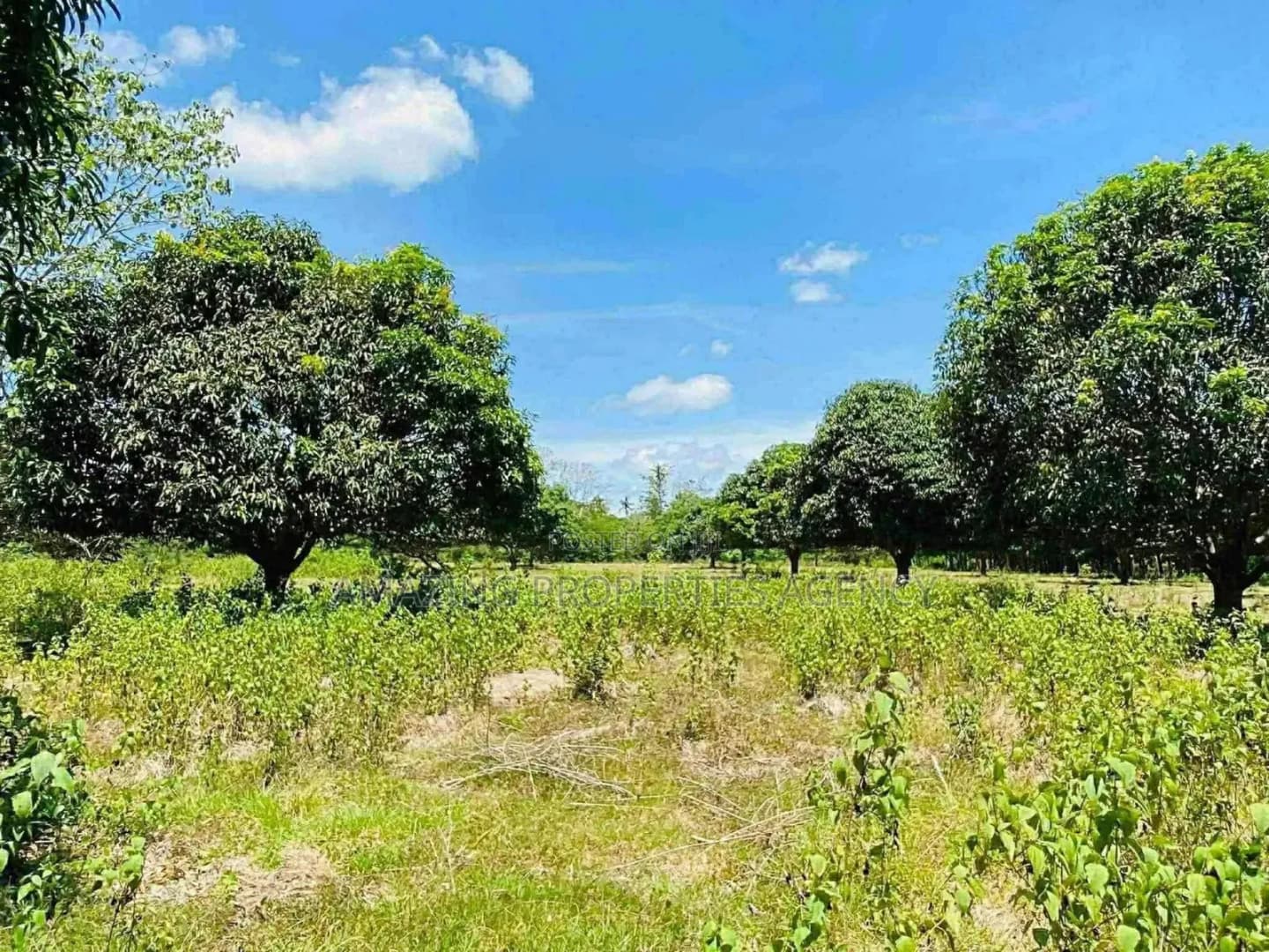 .1.05 Acres of Prime Roadside Land in the Airport Residential Area - Land in Greater Accra, Airport Residential Area - Sale
