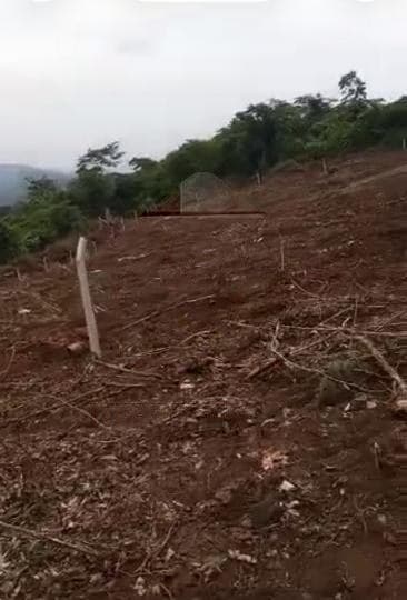 Residential land for sale at Aburi - Obosomase (Fully Registered) - Land in Aburi - Obosomase (Fully Registered) - Sale