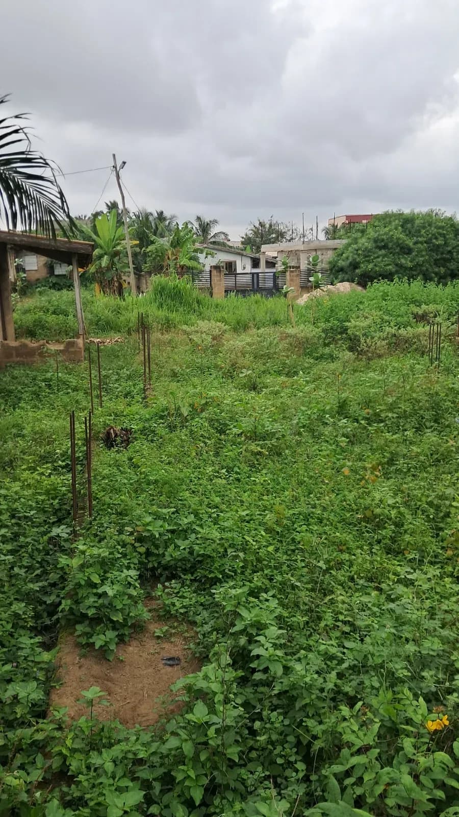 Plot of Land for Sale - Land in Greater Accra, Ga West Municipal - Sale