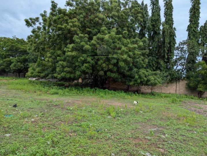 Residential land for sale at AIRPORT RESIDENTIAL AREA*. 8 Acres - Land in AIRPORT RESIDENTIAL AREA*. 8 Acres - Sale