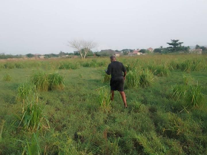 Industrial land for sale at TEMA INDUSTRIAL AREA. 15 acres - Land in TEMA INDUSTRIAL AREA. 15 acres - Sale