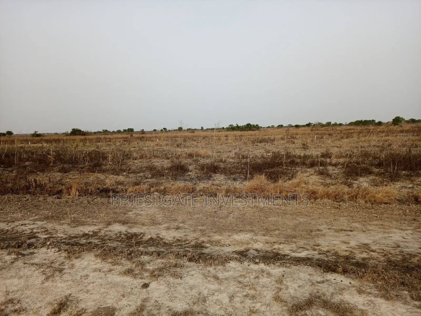 Your Dream Property Starts Here – Land at Tsopoli - Land in Greater Accra, Ningo-Prampram, Dawhenya - Sale