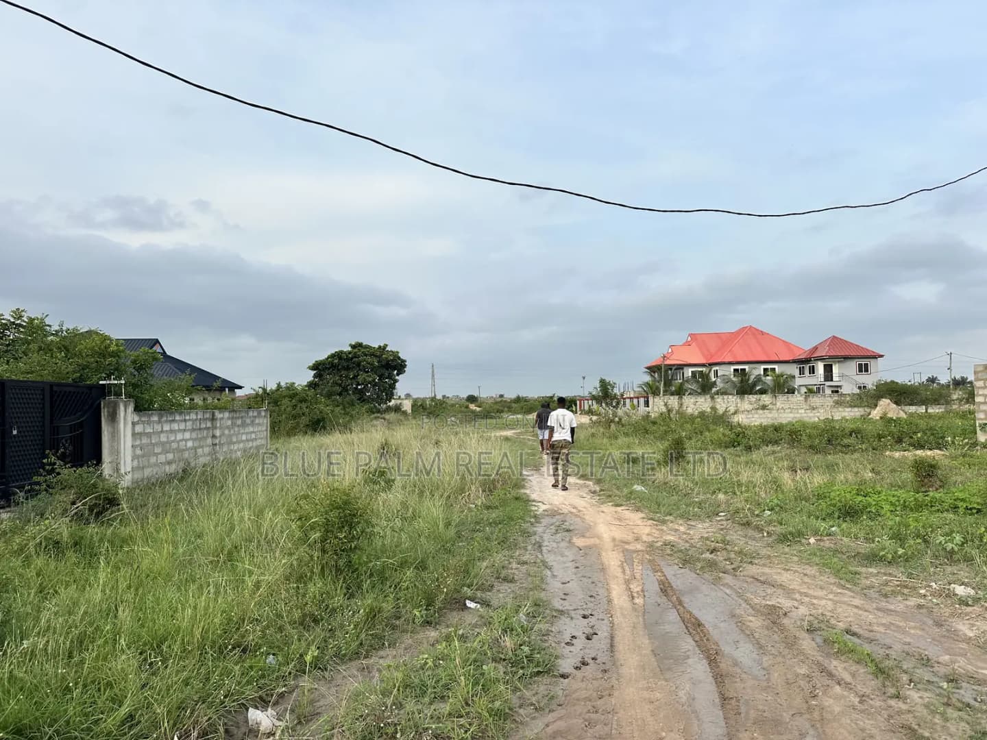 Owning a Plot Here Is a Must - Land in Greater Accra, Ningo-Prampram, Afienya - Sale