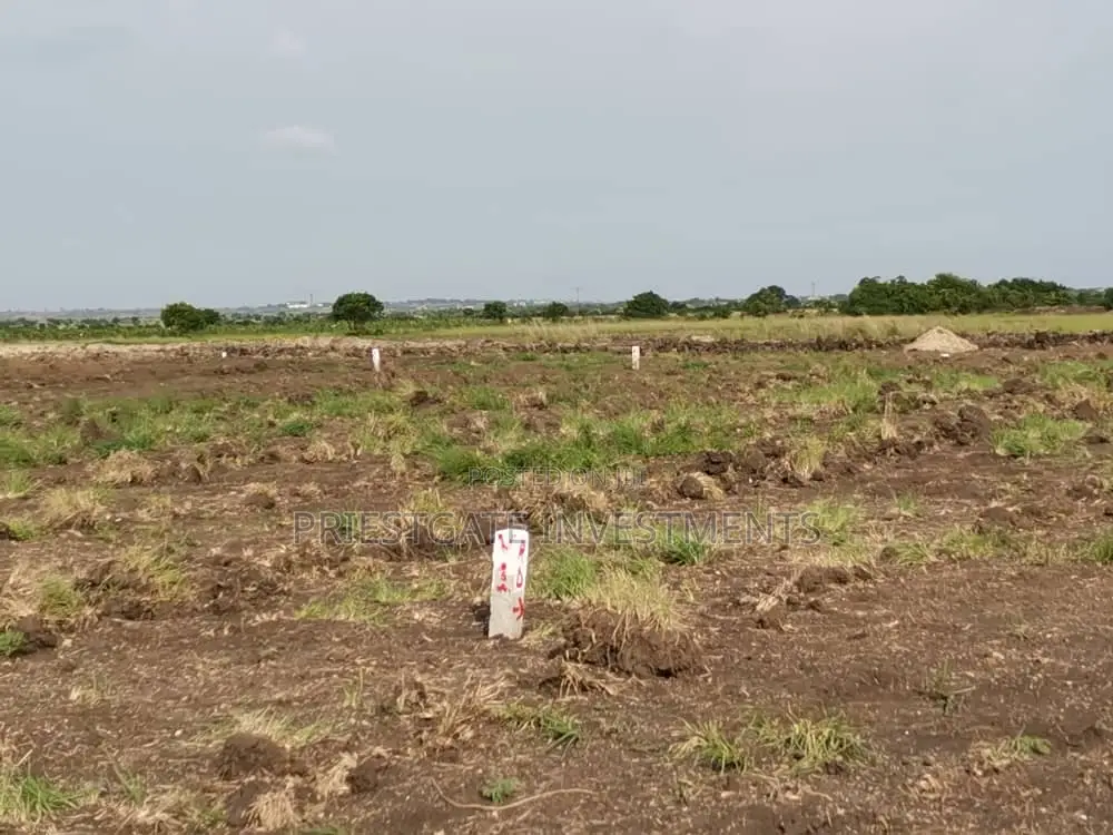 Prime Land for Sale – Great Location Clear Documents - Land in Greater Accra, Ningo-Prampram, Dawhenya - Sale