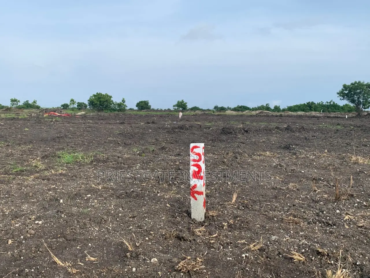 Own Your Future – Affordable Land for Sale at Tsopoli - Land in Greater Accra, Ningo-Prampram, Dawhenya - Sale
